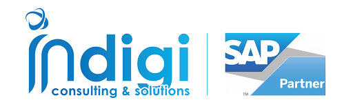 Indigi Logo